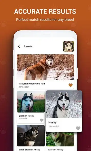 Play Dog Bread Identifier: Dog Scanner by photo, camera as an online game Dog Bread Identifier: Dog Scanner by photo, camera with UptoPlay