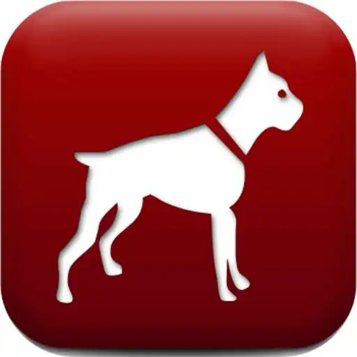 Play Dog Breed Auto Identify Photo APK