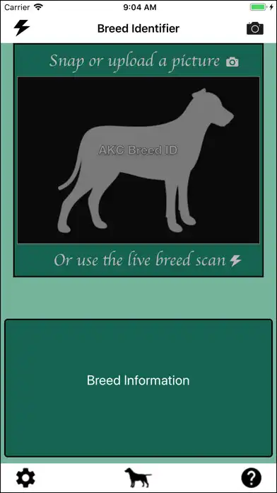 Play Dog breed identifier  and enjoy Dog breed identifier with UptoPlay