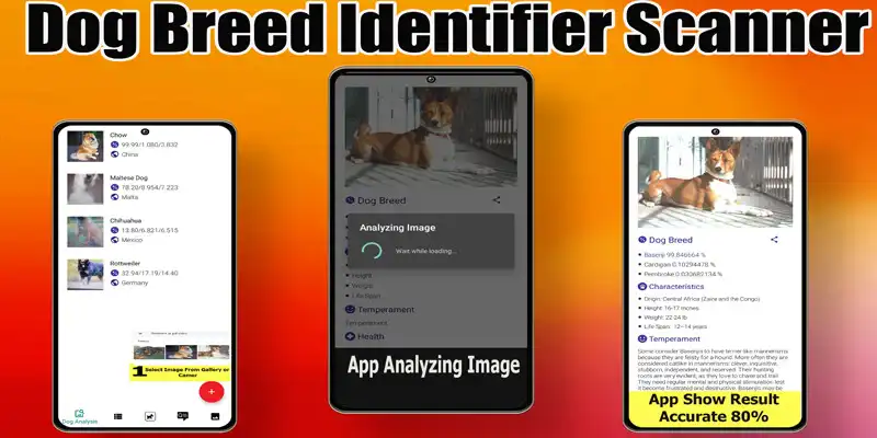 Play Dog Breed Smart Identifier  and enjoy Dog Breed Smart Identifier with UptoPlay