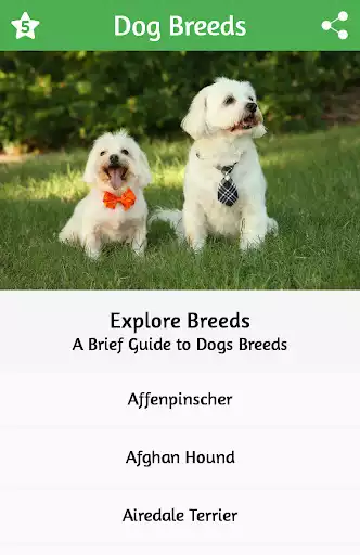 Play Dog Breeds  and enjoy Dog Breeds with UptoPlay