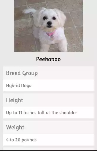 Play Dog Breeds as an online game Dog Breeds with UptoPlay