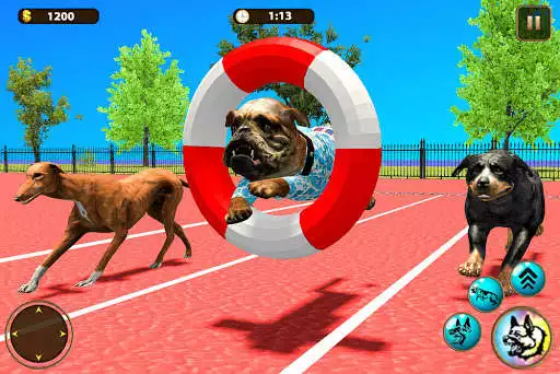 Play Dog Family Simulator Game: Life of Dog  and enjoy Dog Family Simulator Game: Life of Dog with UptoPlay