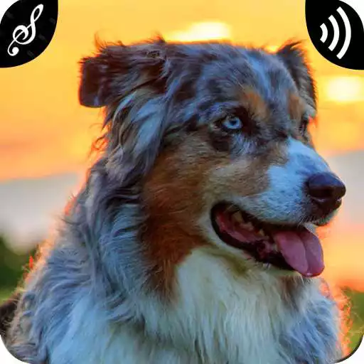 Play Dog Growling Sounds APK