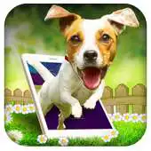 Free play online Dog In Phone Prank APK