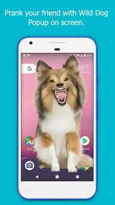 Play Dog In Phone Prank