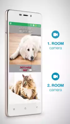 Play Dog Monitor by Annie: Pet Sitter  Cat Video Cam