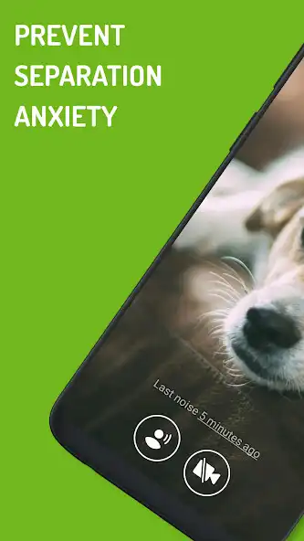 Play Dog Monitor: Puppy video cam  and enjoy Dog Monitor: Puppy video cam with UptoPlay