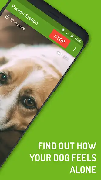 Play Dog Monitor: Puppy video cam as an online game Dog Monitor: Puppy video cam with UptoPlay