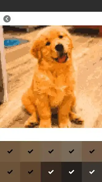 Play Dog Photo Pixel Coloring as an online game Dog Photo Pixel Coloring with UptoPlay