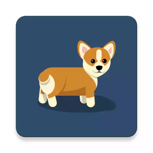 Play dog pictures APK