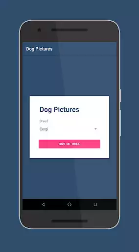 Play dog pictures  and enjoy dog pictures with UptoPlay