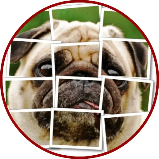 Play Dog Puzzle APK