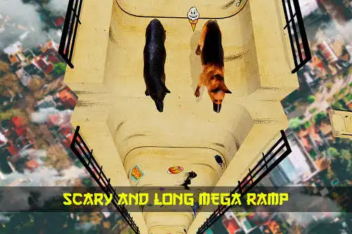 Play Dog Race Game on Grand Mega Ramps  and enjoy Dog Race Game on Grand Mega Ramps with UptoPlay