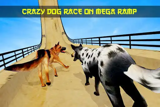 Play Dog Race Game on Grand Mega Ramps as an online game Dog Race Game on Grand Mega Ramps with UptoPlay