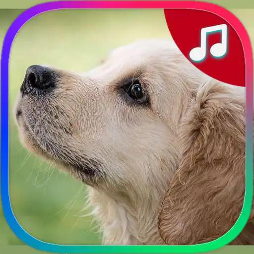 Play Dog Ringtones APK