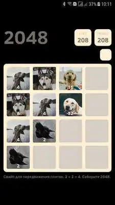 Play Dogs 2048