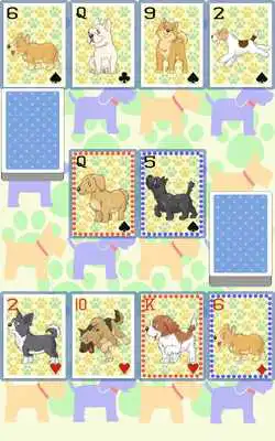 Play Dog Speed (playing card game)