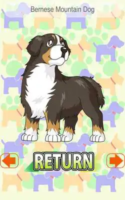 Play Dog Speed (playing card game)