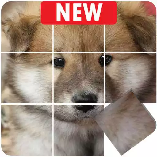 Play Dogs puzzle games free, slide puzzle cute puppies APK