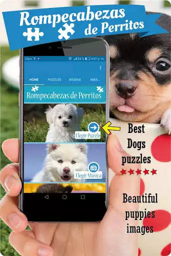 Play Dogs puzzle games free, slide puzzle cute puppies  and enjoy Dogs puzzle games free, slide puzzle cute puppies with UptoPlay