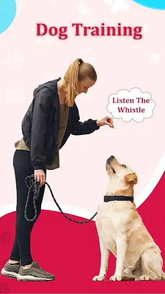 Play Dog Training Whistle Sounds  and enjoy Dog Training Whistle Sounds with UptoPlay