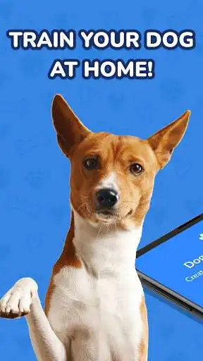 Play Dog whistle app: Dog clicker & Dog training online  and enjoy Dog whistle app: Dog clicker & Dog training online with UptoPlay