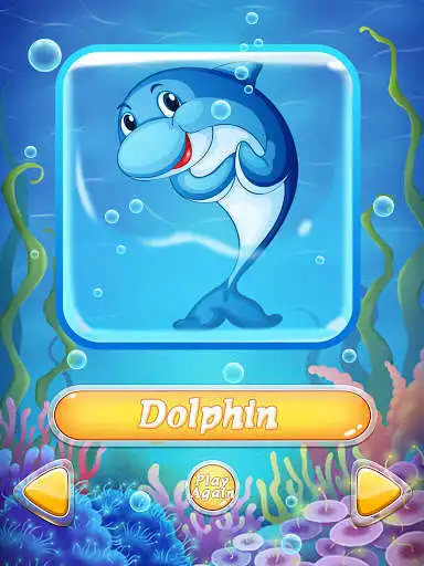 Play Doko Apps: Ocean Animal puzzle  and enjoy Doko Apps: Ocean Animal puzzle with UptoPlay