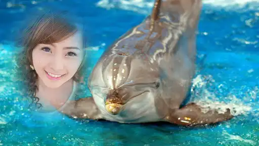 Play APK dolphin fish photo frame costume montage editor  and enjoy dolphin fish photo frame costume montage editor using ApkOnl