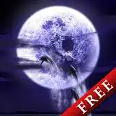 Free play online Dolphin Fullmoon Trial APK