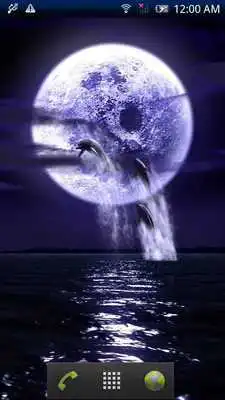 Jouer à l'essai Dolphin Fullmoon