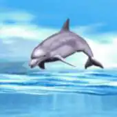 Free play online Dolphin Playing Live Wallpaper APK