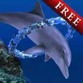 Free play online Dolphin Ring Trial APK