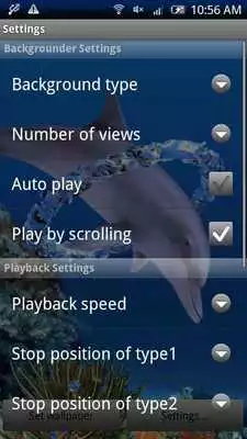 Play Dolphin Ring Trial