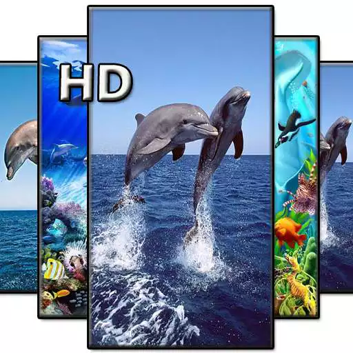 Play Dolphin Wallpapers HD APK