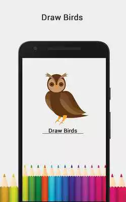 Play Draw Birds