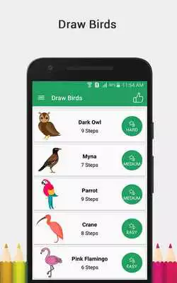 Play Draw Birds