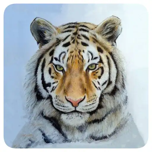 Play Drawing Animal Arts Tutorial APK