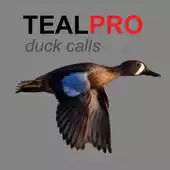 Free play online Duck Calls for Teal APK