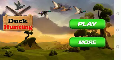 Play Duck Shooting And Hunting 3D