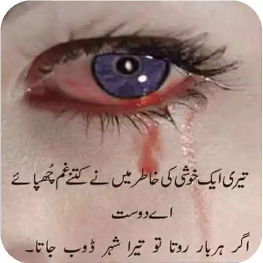 Free play online Dukhi Shayari-Urdu Lines  APK