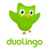 Free play online Duolingo APK