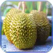 Free play online Durian Jigsaw Puzzles APK