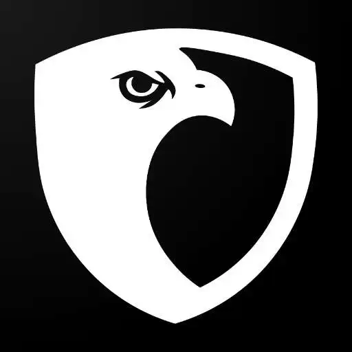 Play Eagle Eye - Catch Intruder APK