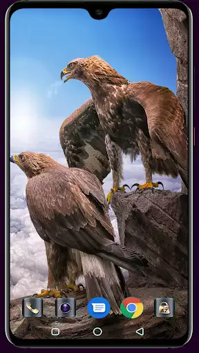 Play Eagle Wallpaper as an online game Eagle Wallpaper with UptoPlay