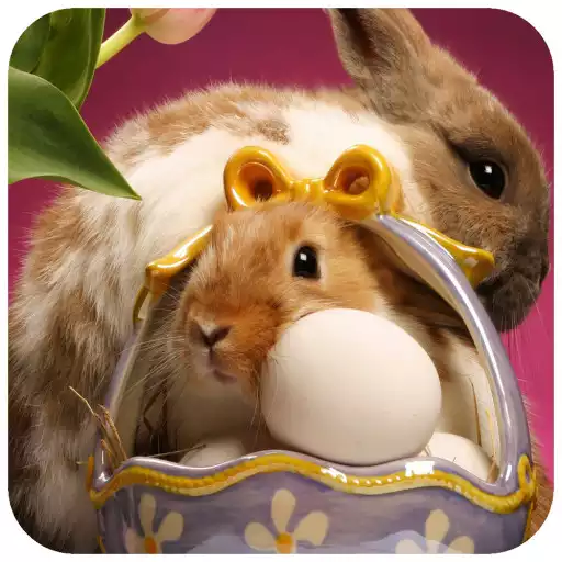 Play Easter Wallpaper APK