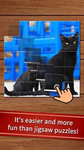 Play Easy cat puzzle  and enjoy Easy cat puzzle with UptoPlay