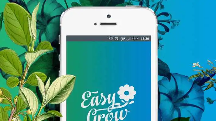 Play Easy Grow