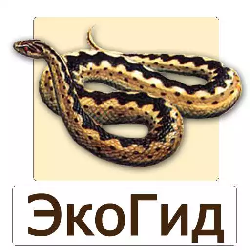 Play EcoGuide: Russian Reptiles Field Guide APK