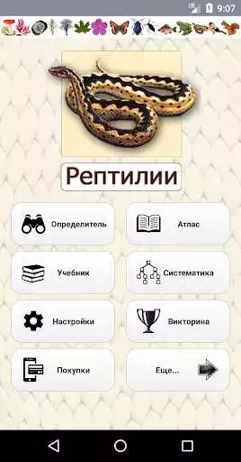 Play EcoGuide: Russian Reptiles Field Guide  and enjoy EcoGuide: Russian Reptiles Field Guide with UptoPlay